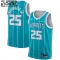 Jordan Charlotte Hornets PJ Washington 25 Trikot Icon Edition Swingman Teal Für Kinder