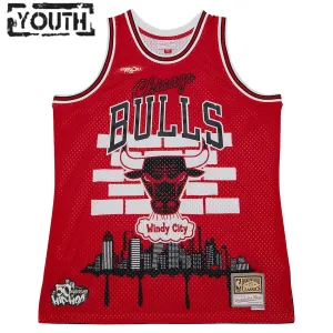 Chicago Bulls Mitchell Ness x Tats Cru Edition Trikot Hardwood Classics 23/24 Swingman Rot Für Kinder