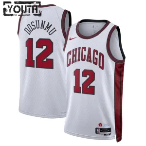 Nike Chicago Bulls Ayo Dosunmu 12 Trikot City Edition 22/23 Swingman Weiß Für Kinder