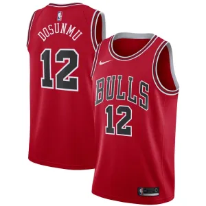 Nike Chicago Bulls Ayo Dosunmu 12 Trikot Icon Edition Swingman Rot Für Herren