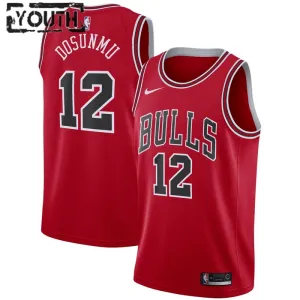 Nike Chicago Bulls Ayo Dosunmu 12 Trikot Icon Edition Swingman Rot Für Kinder
