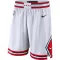 Nike Chicago Bulls Shorts Association Edition Swingman Für Herren