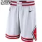 Nike Chicago Bulls Shorts Association Edition Swingman Für Kinder