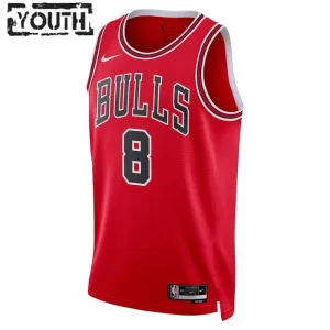 Nike Chicago Bulls Zach Lavine 8 Trikot Icon Edition Swingman Rot Für Kinder
