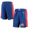 Nike Detroit Pistons Shorts Icon Edition Swingman Für Herren
