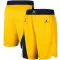 Jordan Indiana Pacers Shorts Statement Edition Swingman Für Herren