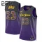 Nike Los Angeles Lakers Lebron James Trikot City Edition 24/25 Swingman Lila Für Kinder