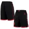 Jordan Toronto Raptors Shorts Statement Edition Swingman Für Herren